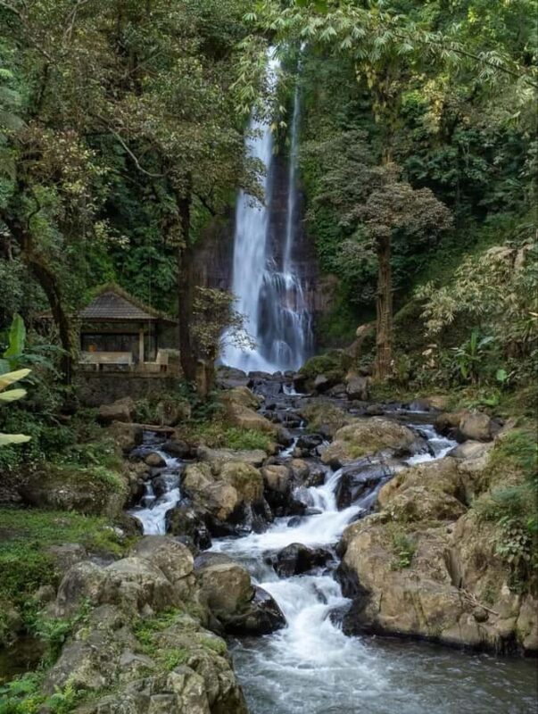 Bali: Sekumpul, Banyumala, and Gitgit Waterfalls Tour - A Deep Dive into the Waterfalls Tour