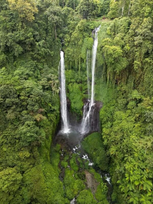 Bali: Sekumpul, Banyumala, and Gitgit Waterfalls Tour - What Makes This Tour Stand Out?