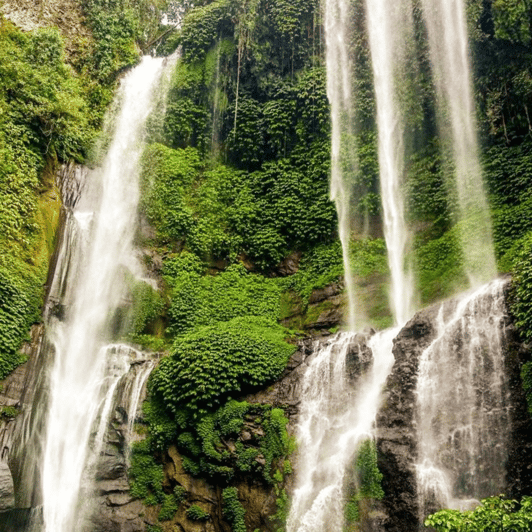 Bali: Sekumpul / Banyumala Waterfall, Ulun Danu Beratan Day - Key Points