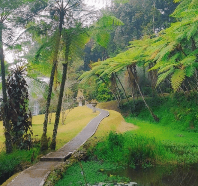 Bali: Sekumpul / Banyumala Waterfall, Ulun Danu Beratan Day - Inclusions and Exclusions