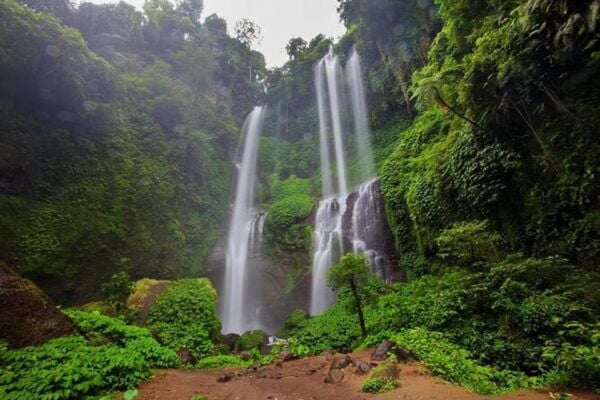 Bali: Sekumpul Waterfall, Twin Lakes, and Ulun Danu Tour - Customer Advisory