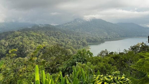 Bali: Sekumpul Waterfall, Twin Lakes, and Ulun Danu Tour - Questions You May Have