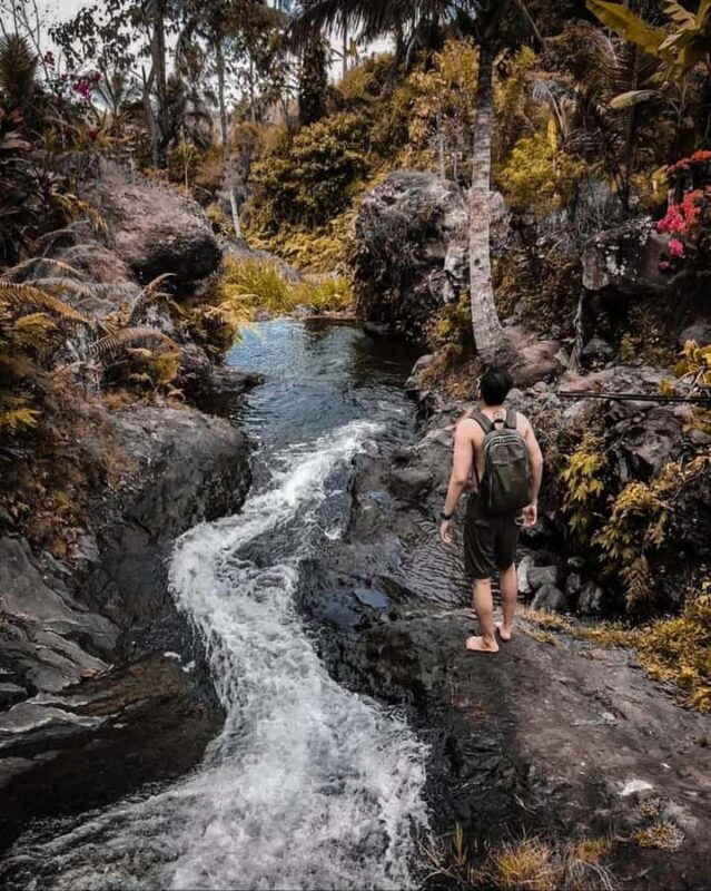 Bali: sekumpul Waterfalls, Rice Terraces, and fuji waterfall - Lunch and Local Refreshments