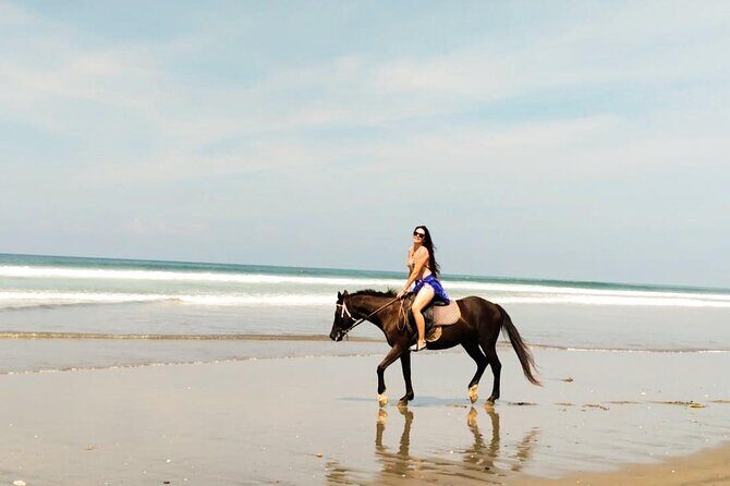 Bali Seminyak Beach Horse Riding with Private Pick Up - Good To Know