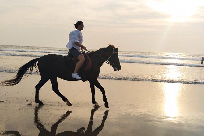 Bali Seminyak Beach Horse Riding with Private Pick Up - The Value Proposition: Is It Worth It?