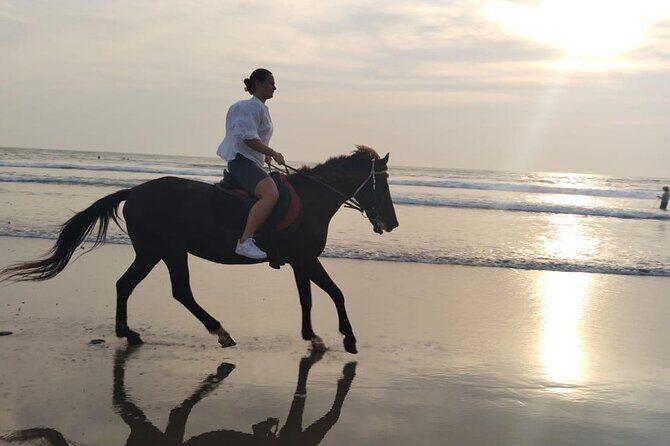 Bali Seminyak Beach Horse Riding with Private Pick Up - The Sum Up