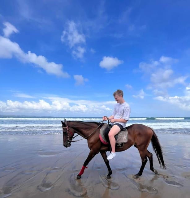 Bali: Seminyak Beach Horseback Adventure - What to Expect