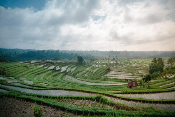 Bali: Serenity Bali Heritage Tour (All Inclusive&Private) - Cultural Insights