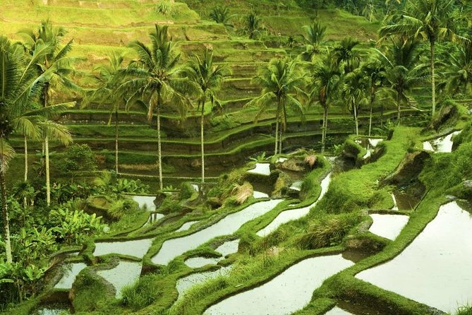 Bali Shore Excursion : Customize Private Full Day Tours - Good To Know