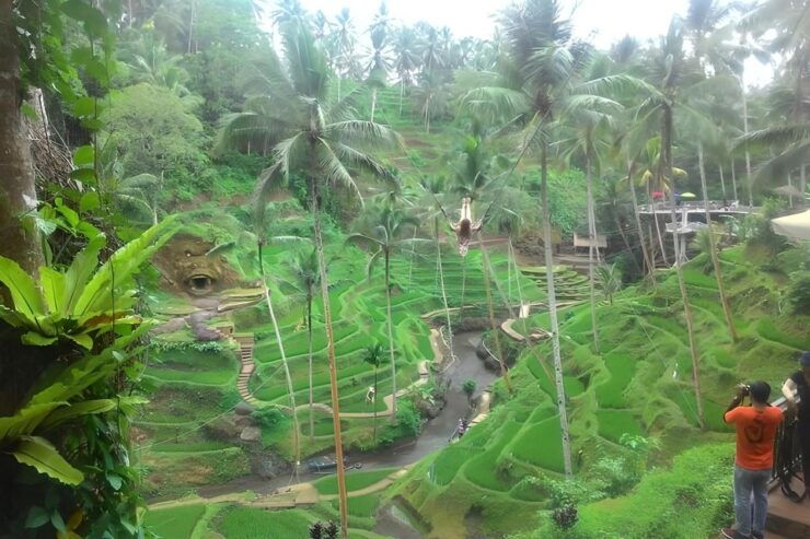 Bali : Shore Excursion for Cruises"S Passenger - Duration and Booking Details