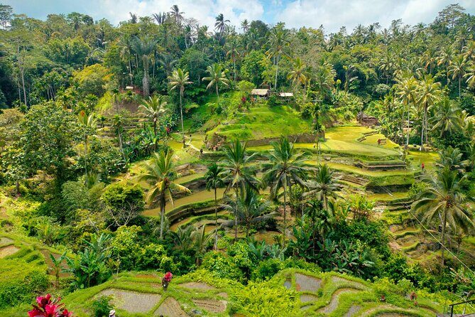 Bali Shore Excursion from Benoa Port  All-Inclusive Private Trip - Good To Know