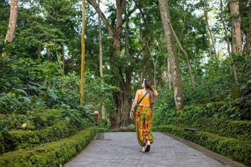Bali Shore Excursion: Ubud, Rice Terraces & Waterfall - Good To Know
