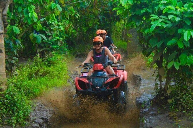 Bali Shore Excursions From Celukan Bawang Cruise Port Day Tour - What Makes This Tour Stand Out?