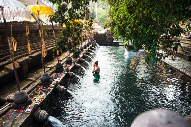 Bali Shore Excursions: Ubud Day Trip - Highlights of the Day Trip