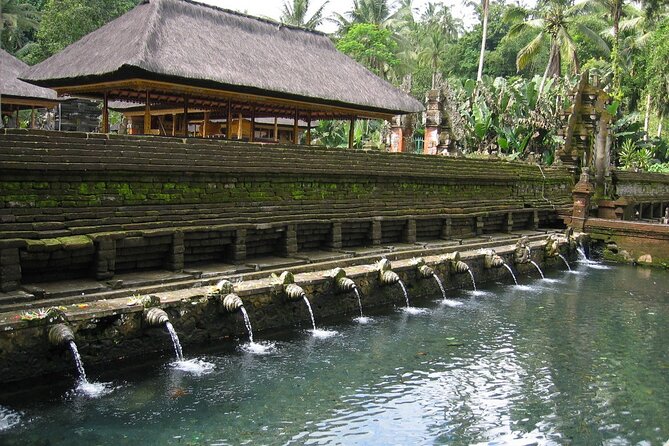 Bali Shore Excursions: Ubud Day Trip - Reviews and Ratings