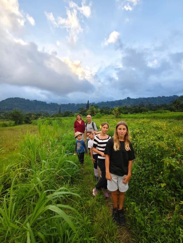 Bali: Sidemen Rice Field Trek and Local Lunch - A Closer Look at the Experience