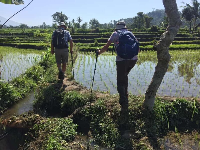 Bali: Sidemen Trekking with Besakih Temple Tour/Rafting - An In-Depth Look at the Tour Experience