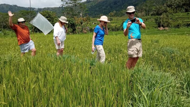 Bali: Sidemen Trekking with Besakih Temple Tour/Rafting - Final Thoughts