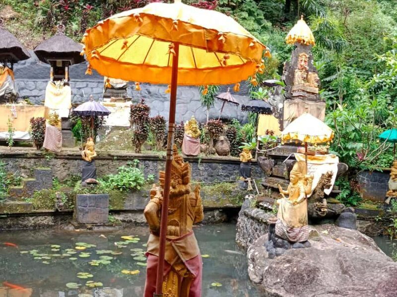 Bali: Sidemen Waterfall tour and temple purification - Good To Know