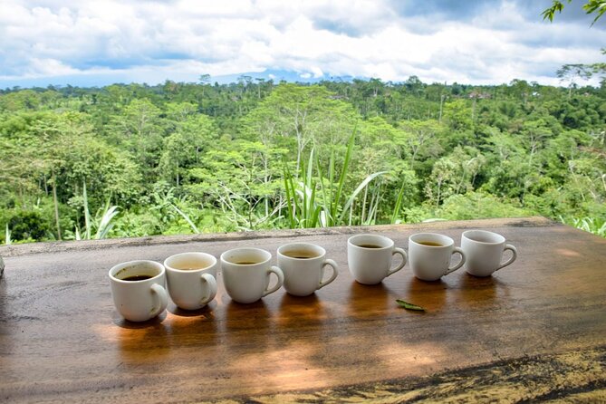Bali Sightseeing Tours and Tegenungan Waterfall - Important Pickup Information