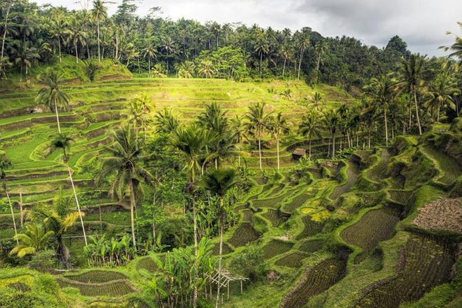 Bali Sightseeing Wakaland Cruise - Cruise Itinerary Overview