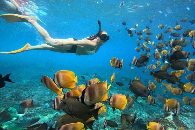 Bali Snorkeling 2 Spot at Blue Lagoon with Lunch & Transport - Introduction