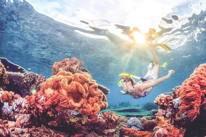 Bali Snorkeling at Blue Lagoon and Tanjung Jepun - Good To Know