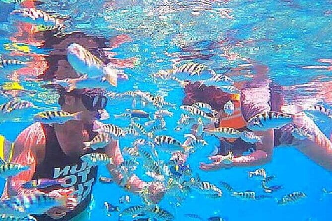 Bali Snorkeling at Blue Lagoon and Tanjung Jepun - Practical Details and Logistics