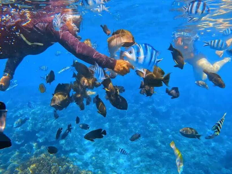 Bali: Snorkeling at Blue Lagoon and Tanjung Jepun with Lunch - Lunch: A Mixed Bag