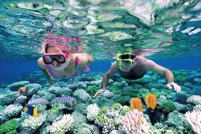 Bali Snorkeling at Blue Lagoon and Tanjung Jepun with Transfer - Good To Know