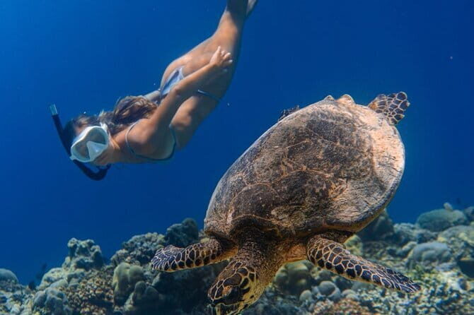 Bali Snorkeling at Blue Lagoon and Tanjung Jepun with Transfer - FAQs