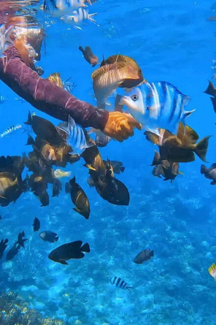 Bali: Snorkeling at Blue Lagoon Beach & Thrilling ATV Ride - Important Information