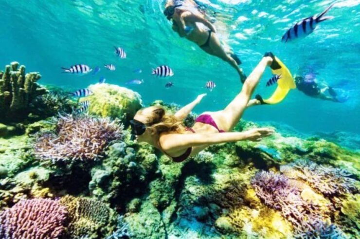 Bali: Snorkeling at Blue Lagoon Beach & Ubud Tour - Good To Know