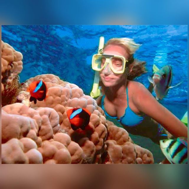Bali: Snorkeling at Blue Lagoon Beach With Lunch & Transport - Booking Details