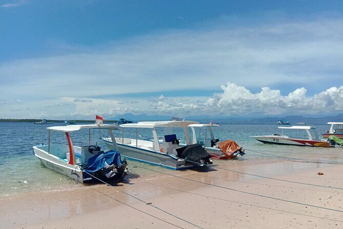 Bali Snorkeling at Blue Lagoon & Tanjung Jepun Beach: All-Inclusive - Who Should Consider This Tour?