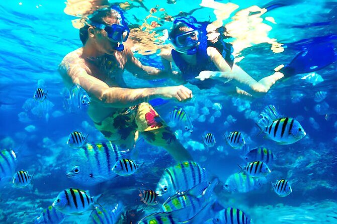 Bali Snorkeling at Blue Lagoon & Tanjung Jepun Beach: All-Inclusive - The Sum Up