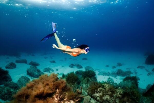 Bali Snorkeling at Blue Lagoon With Lunch - The Sum Up