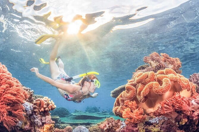 Bali Snorkeling at Blue Lagoon with Private Transfer - A Few Considerations