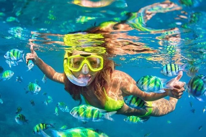 Bali Snorkeling at Blue Lagoon With Transport and Lunch - Price and Booking Details