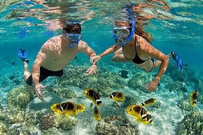 Bali Snorkeling at Blue Lagoon With Transport and Lunch - Tour Overview