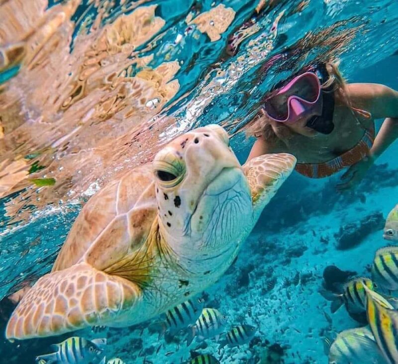 Bali : Snorkeling at two Spots with Lunch and transport - Good To Know