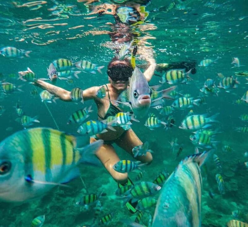 Bali : Snorkeling at two Spots with Lunch and transport - An Overview of the Experience