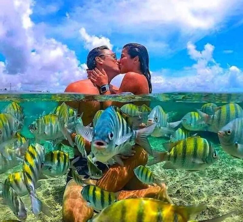 Bali : Snorkeling at two Spots with Lunch and transport - Practical Tips for Travelers