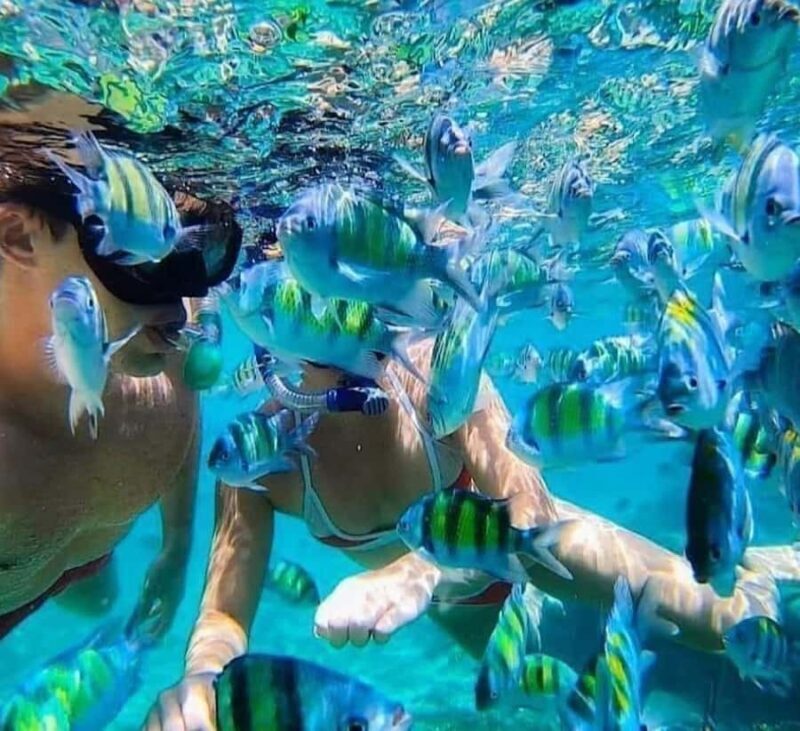 Bali : Snorkeling at two Spots with Lunch and transport - The Sum Up