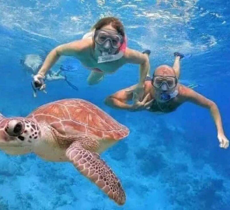 Bali : Snorkeling at two Spots with Lunch and transport - FAQ