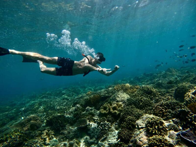 Bali: Snorkeling Blue Lagoon 2 Spot & Lunch optional Village - Introduction