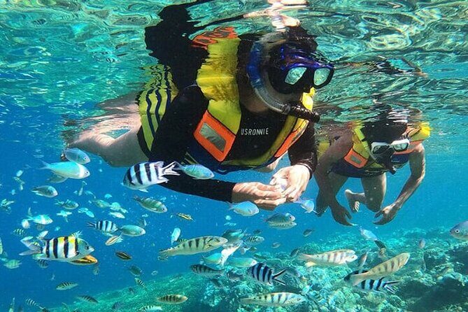 Bali Snorkeling Blue Lagoon and ATV Quad Bike Adventure - Good To Know