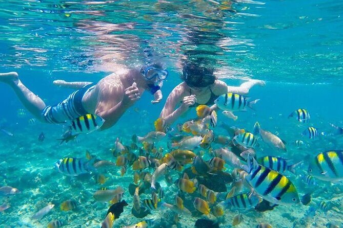 Bali Snorkeling Blue Lagoon and ATV Quad Bike Adventure - Good To Know