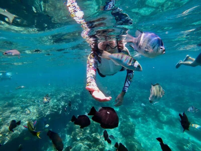 Bali Snorkeling: Blue Lagoon and Tanjung Jepun All Inclusive - The All-Inclusive Aspect and Lunch