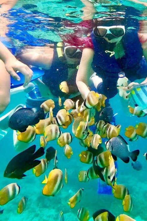 Bali : Snorkeling Blue Lagoon, Tanjung Jepun & Goa Lawah Day - Key Points